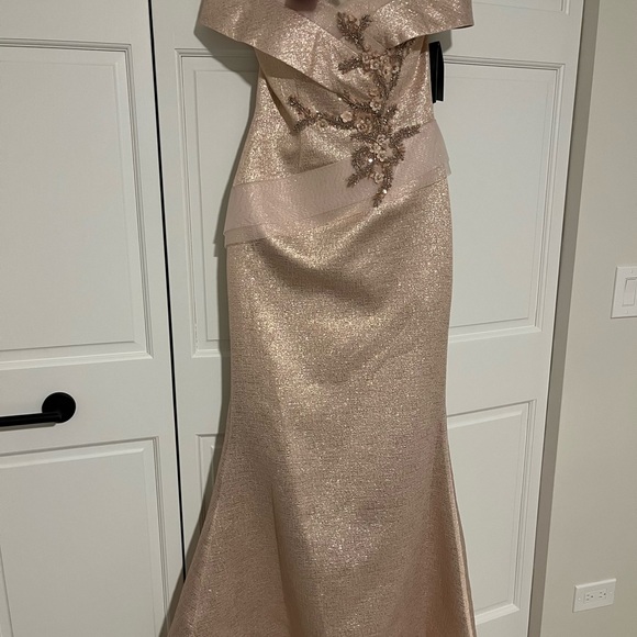 BRAND NEW Terani Gown - Picture 2 of 6